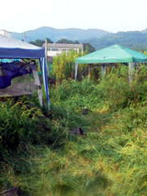 kusa7