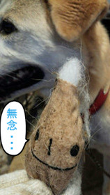 BlogPaint