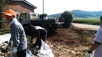 IMG_20170526_080026