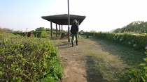 ¥ì¥â¥ó¡¦¤ª½Ð¤«¤±¡Ê£´¡Ë£²£°£±£¸¡¤£´¡¤£²£²