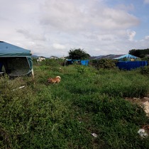 2013-09-15-14-31-58_deco