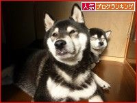 ちゅら&あぐぅ眩しい