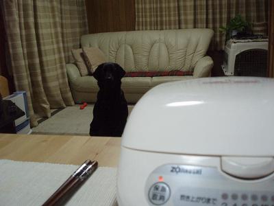 あらっ、おいしいワ