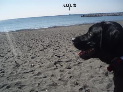 久しぶりの晴れ