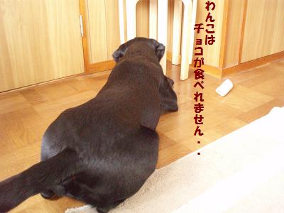 今年のバレンタイン