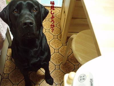 あらっ、おいしいワ