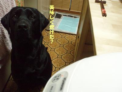 あらっ、おいしいワ