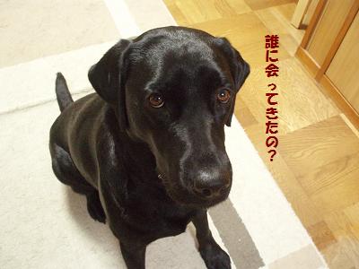 すくすく育ってます
