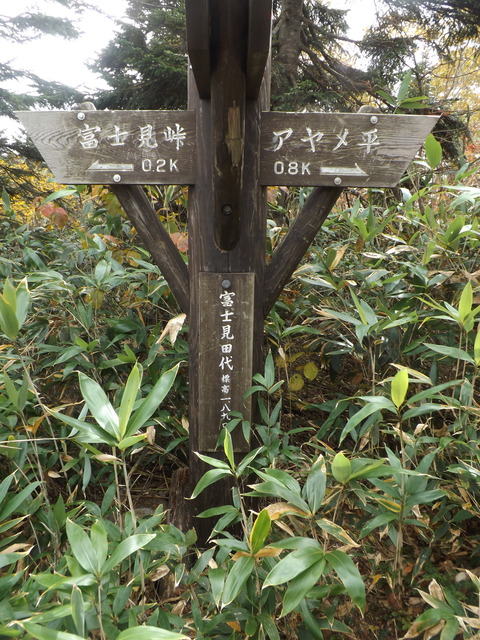 DSCF0663