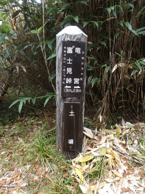 DSCF0653
