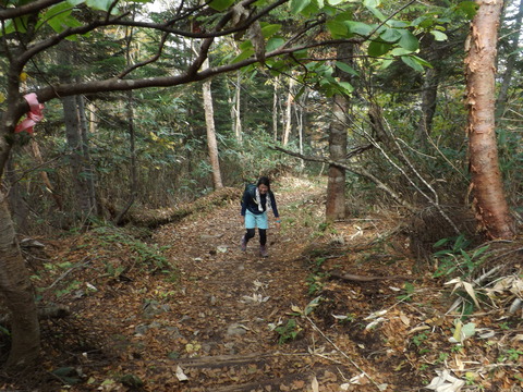 DSCF0651