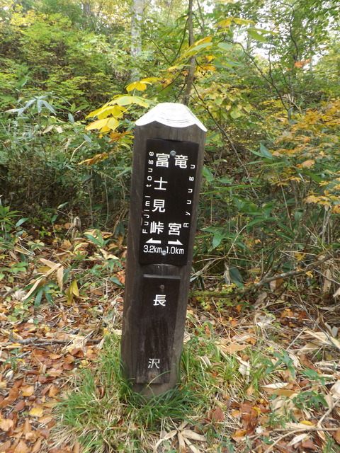 DSCF0647
