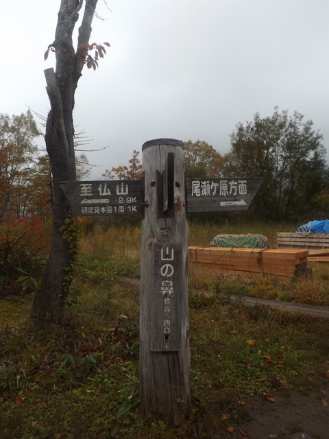 DSCF0493
