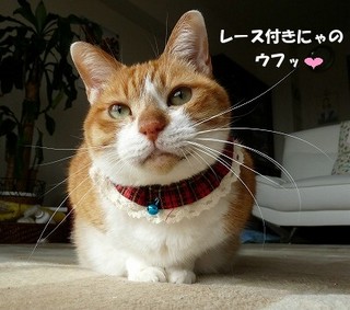 �ˤΥ����֤λ���Ǥ���