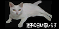 �»Ҥ���ǭ���餹�����