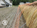 BlogPaint