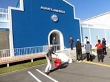 25アヲハタ