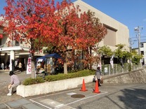 11.10祭り3
