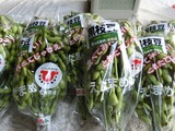 12エダマメ3