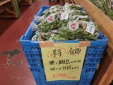 17エダマメ2