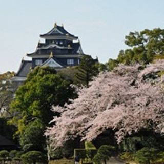 岡山 後楽園 岡山城 サクラ満開へ 岡山 倉敷市内 津山などの主なスポット 中国 岡山 広島 山口 鳥取 島根 を中心にグローカル 世界に目を向けグローバル 366 Gps Aps