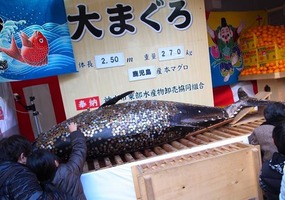 2012えびす4