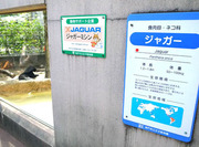 王子動物園3