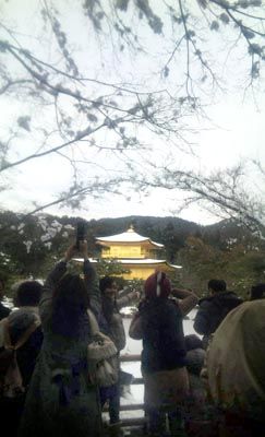 金閣寺3