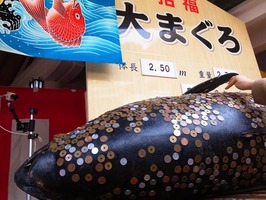 2012えびす1