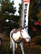 ウォーランド10