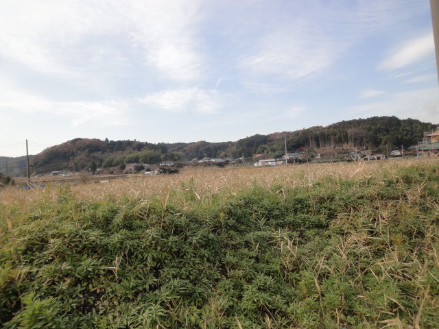 DSC07409