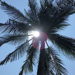 IMG_7774
