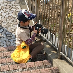 何を撮りますか?