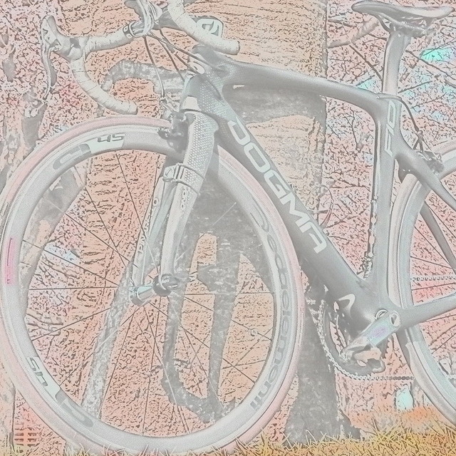 自転車　Adriano １台ずつ 自転車 Adriano 1台ずつ