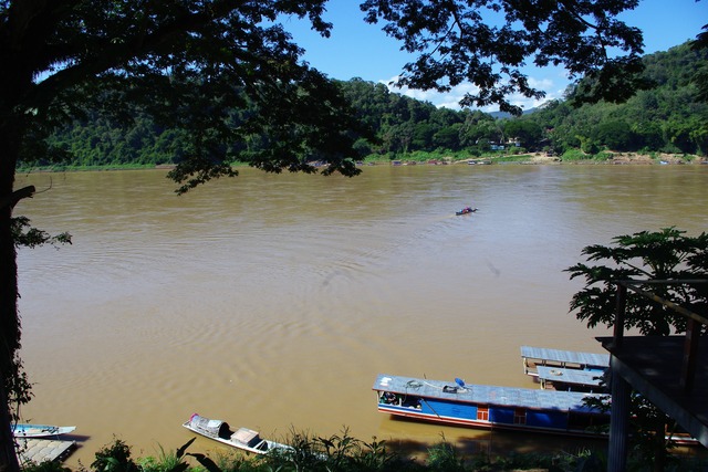 IMGP3155 (2)