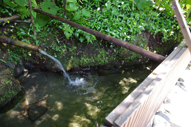IMGP2397