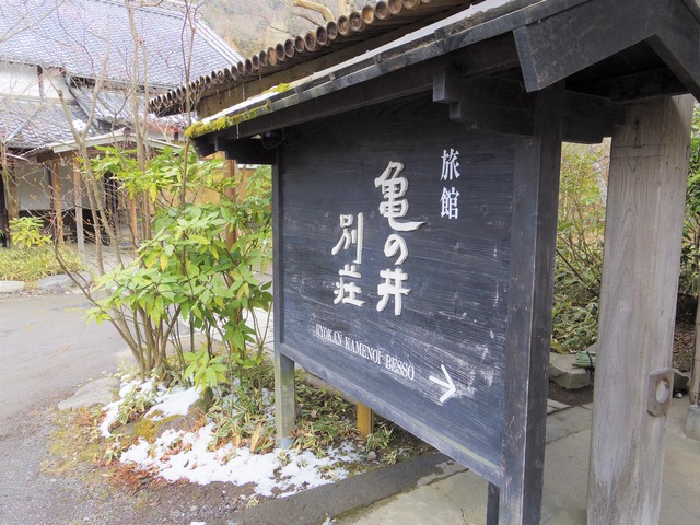 IMGP5693 (2)