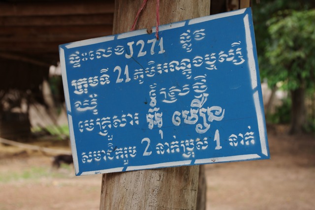 IMGP6496