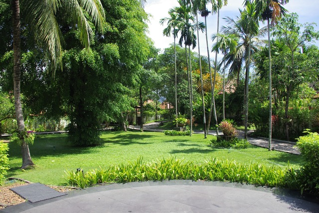IMGP1195 (2)