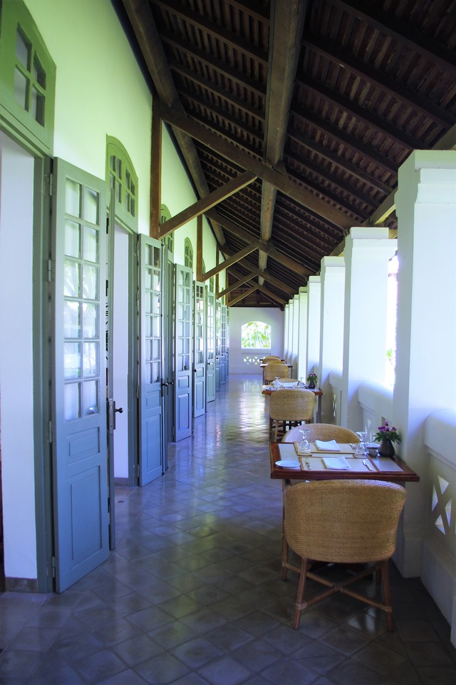 IMGP2677