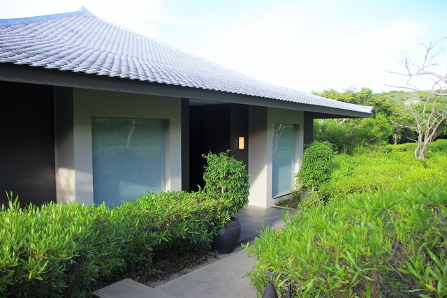 IMGP6135