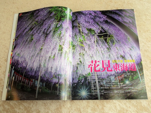 IMGP3009 (2)