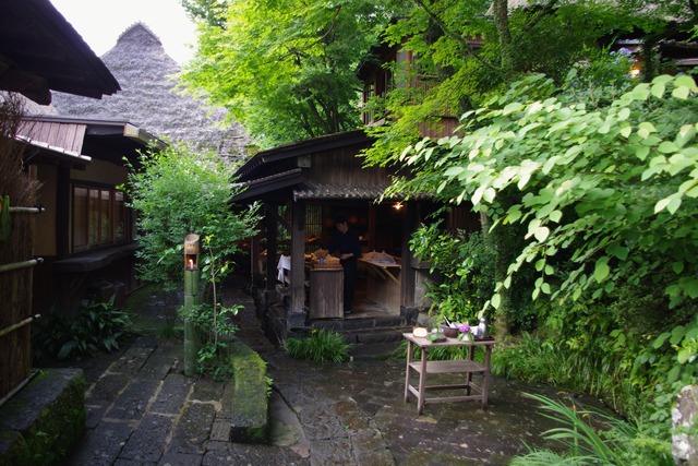 IMGP2710