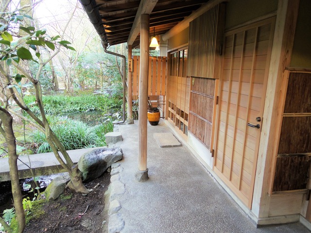 IMGP5713 (2)