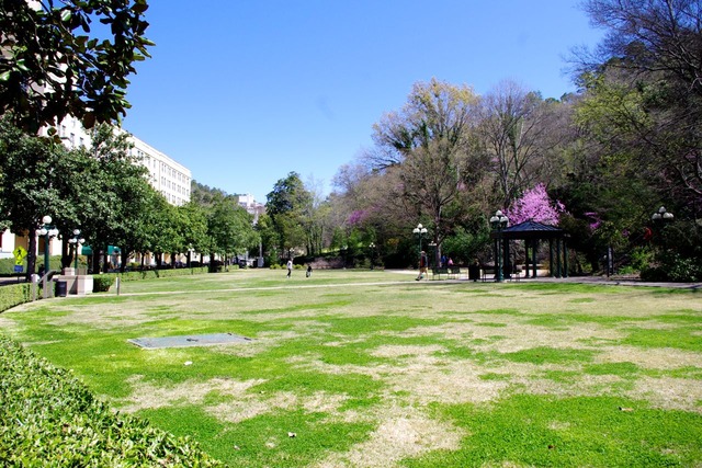 IMGP0140