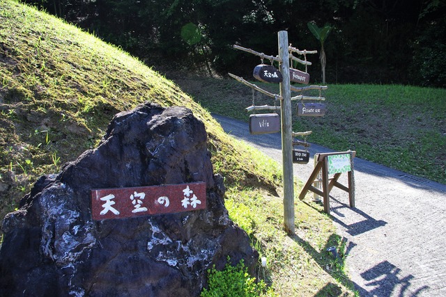 IMGP24531