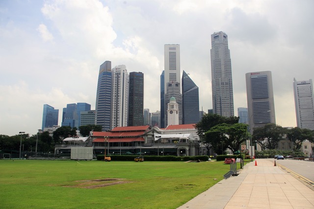 IMGP4604