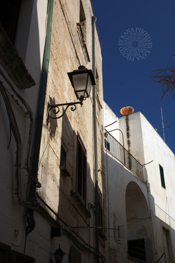 DSC00635
