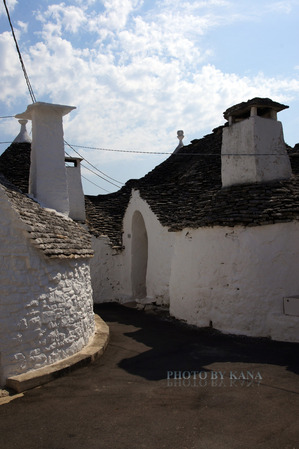 DSC00684