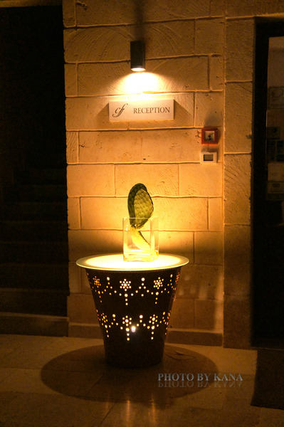 DSC00186